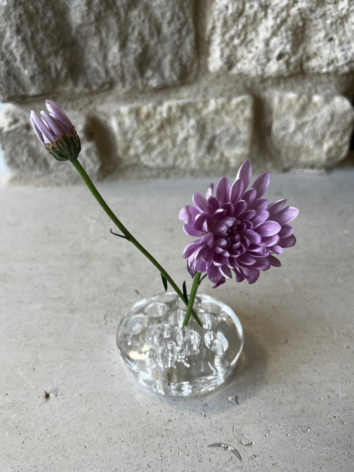 Round clear pressed glass flower frog holding purple chrysanthemum.