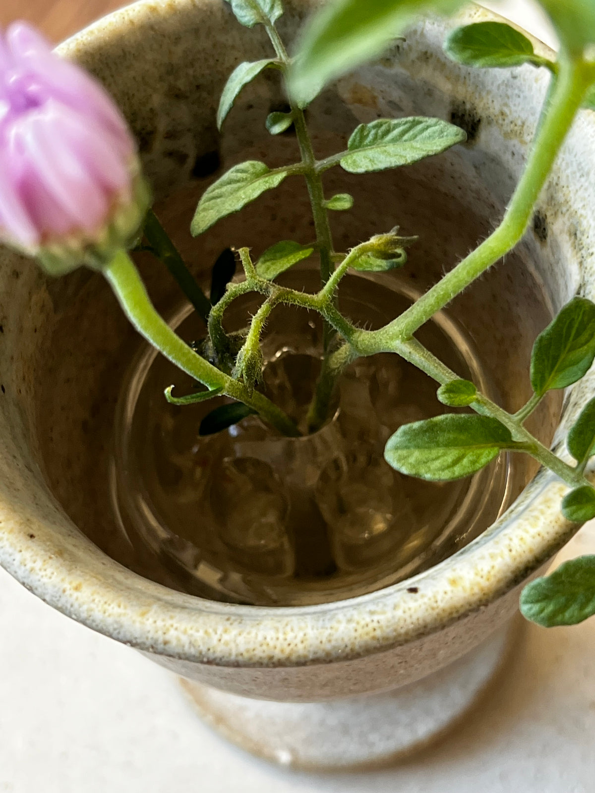 Clear glass flower frog inside speckled stoneware vessel holding pink bud and green stems